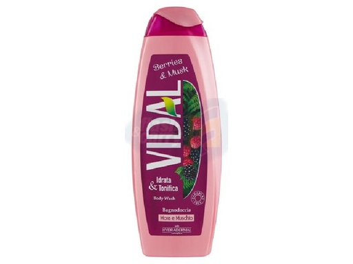[006593] VIDAL BAGNO MORE-MUSCHIO ML.500