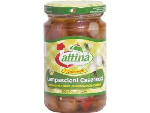 [000341] ATTINA'LAMPASCIONI CASERECCI OLIO GR.314